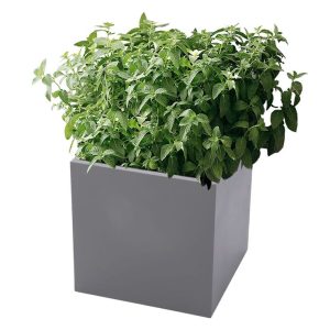 48c01c1451c4ea3994da3c178f337408 "XL Fiberstone Cube"