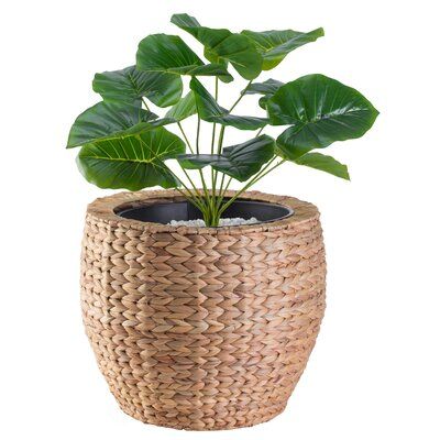 "Woven Rattan Wrap"